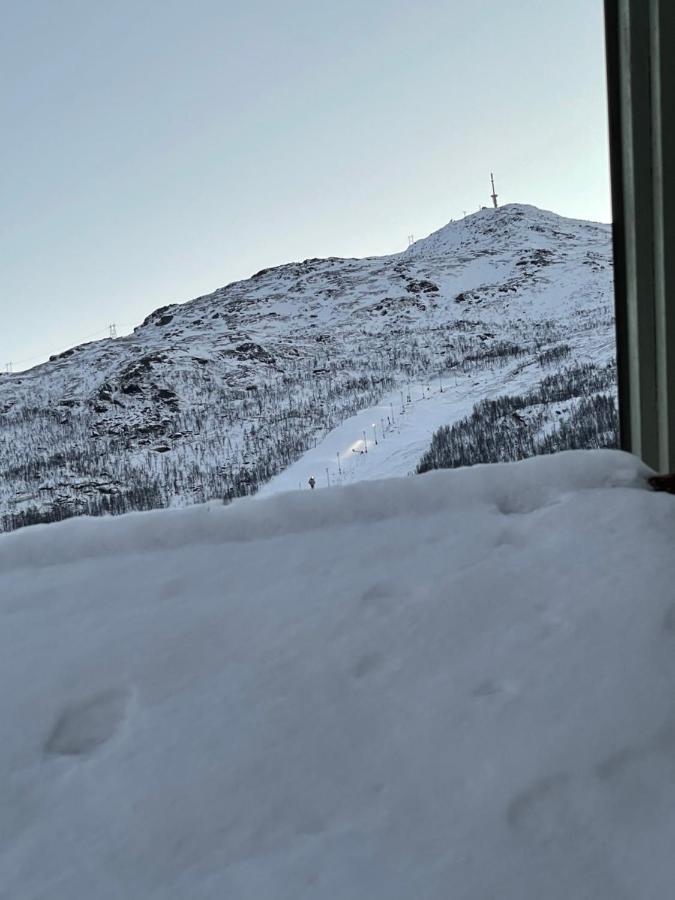 Presttind - Studio Apartment With Free Parking Narvik Eksteriør bilde